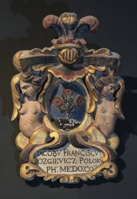 Herb konsyliarza Jakuba Franciszka Ożgiewicza – Sala della Mostra Storica, Uniwersytet Padewski, fot. G. Zygier (2019)
