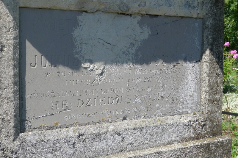 Konie arabskie na Kresach |